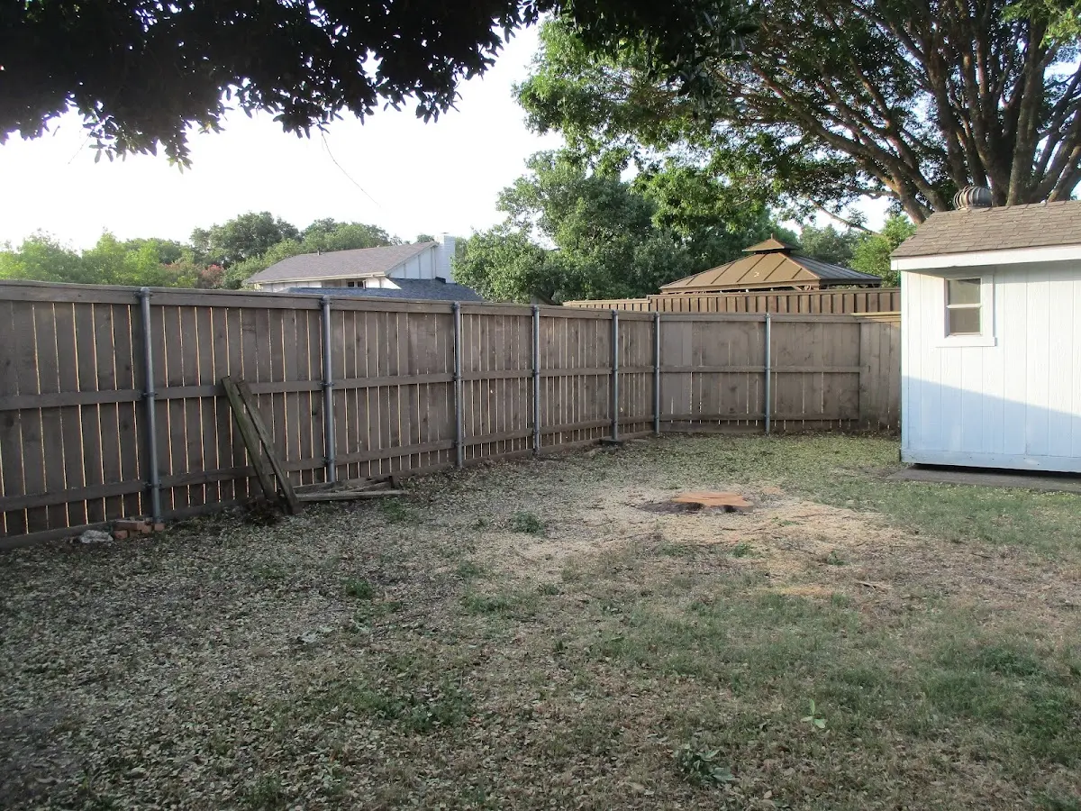 Cleared yard after professional tree removal in Clearwater